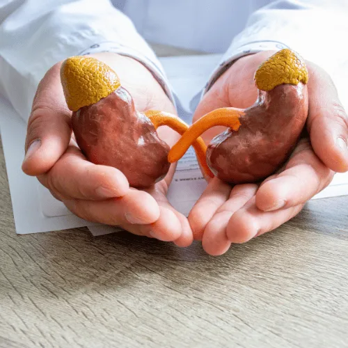 Nefrólogo internista para control renal y metabólico en San Pedro Garza García