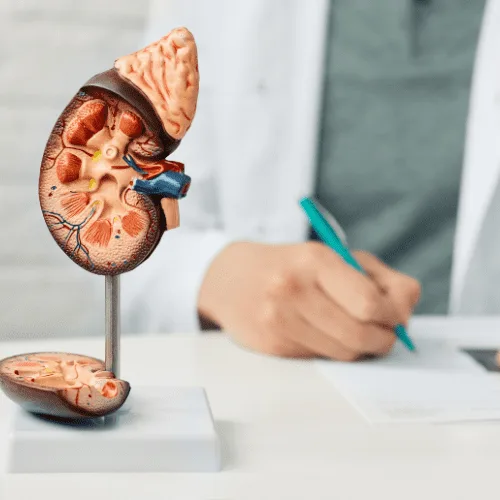 Nefrólogo internista para seguimiento internista continuo en San Pedro Garza García